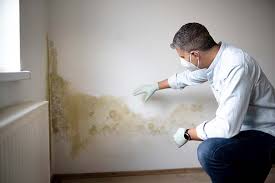 Forensic Mold Investigation in Tanglewilde, WA